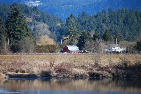 Pitt Meadows BC – Lux Plumbing, Drainage & Heating.